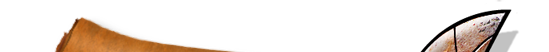 coupon codes